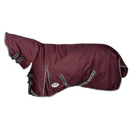 Weatherbeeta Comfitec Plus Dynamic II Combo Medium Pferdedecke - 220 g – Bild 1 von 5