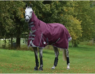 Weatherbeeta Comfitec Plus Dynamic II Combo Medium Pferdedecke - 220 g – Bild 1 von 4