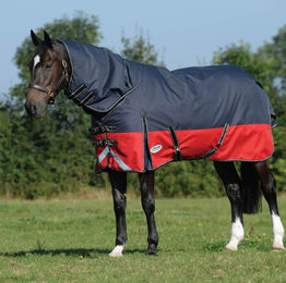 Produktbild von Weatherbeeta Comfitec Plus Dynamic II Detach-A-Neck Medium