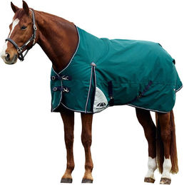 Produktbild von Weatherbeeta Comfitec Plus Dynamic Turnout 0g