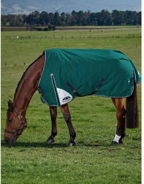 Produktbild von Weatherbeeta Comfitec Plus Dynamic Turnout 100g