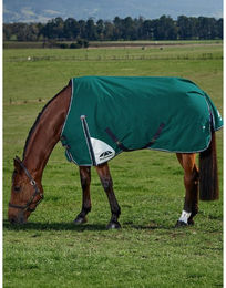 Produktbild von Weatherbeeta Comfitec Plus Dynamic Turnout 220g