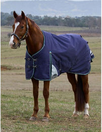 Produktbild von Weatherbeeta Comfitec Plus Dynamic Turnout 220g