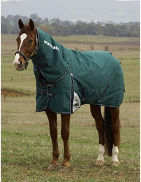 Produktbild von Weatherbeeta Comfitec Plus Dynamic Turnout Detach-A-Neck 100g