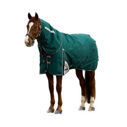 Weatherbeeta Comfitec Plus Dynamic Turnout Detach-A-Neck 220g – Bild 1 von 9