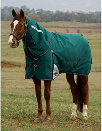 Produktbild von Weatherbeeta Comfitec Plus Dynamic Turnout Detach-A-Neck 220g