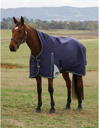 Produktbild von Weatherbeeta Comfitec Plus Dynamic Turnout High Neck 100g