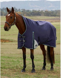 Produktbild von Weatherbeeta Comfitec Plus Dynamic Turnout High Neck 220g