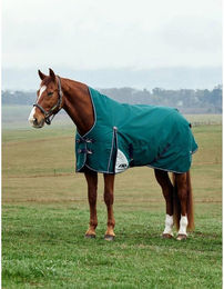 Produktbild von Weatherbeeta Comfitec Plus Dynamic Turnout High Neck 220g
