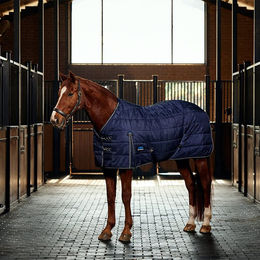 Produktbild von Weatherbeeta Comfitec Pp Channel Quilt Stable Detach-A-Neck 220G