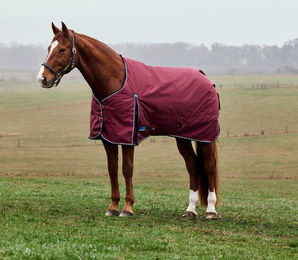 Produktbild von Weatherbeeta Comfitec Prelim Turnout 0g