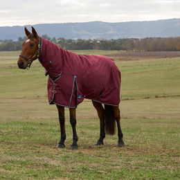 Produktbild von Weatherbeeta Comfitec Prelim Turnout Combo 0g