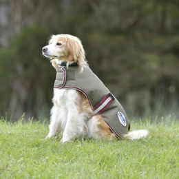 Weatherbeeta ComFiTec Premier Free Parka Hundemantel – Bild 1 von 6