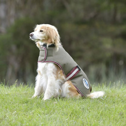 Produktbild von Weatherbeeta ComFiTec Premier Free Parka Hundemantel