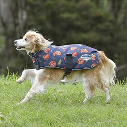 Produktbild von Weatherbeeta Comfitec Premier Free Parka Hundemantel Medium