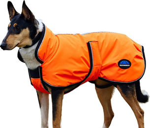 Produktbild von Weatherbeeta Comfitec Reflective 300D Deluxe Showerproof Dog Coat