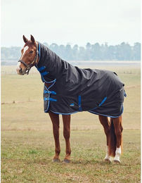 Produktbild von Weatherbeeta Comfitec Tyro Turnout Combo Neck 220g