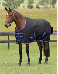 Produktbild von Weatherbeeta Comfitec Tyro Turnout Standard Neck 220g