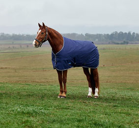 Produktbild von Weatherbeeta Comfitec Tyro Turnout Standard Neck 50g