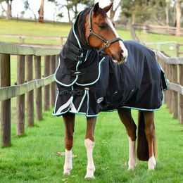 Produktbild von Weatherbeeta Comfitec Ultra Comfi Detach-A-Neck Medium/Lite Pferdedecke