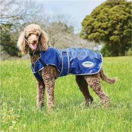 Produktbild von Weatherbeeta Comfitec Windbreaker Free Deluxe Hundemantel