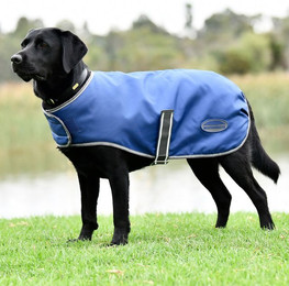 Produktbild von Weatherbeeta Comfitec Windbreaker Free Hundemantel
