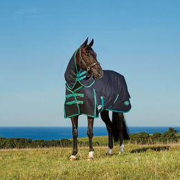 Weatherbeeta Green-Tec 900D Detach-A-Neck Lite Plus Pferdedecke – Bild 1 von 9