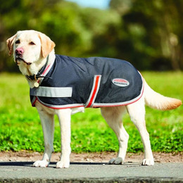 Produktbild von WeatherBeeta Hundemantel ComFiTec 1200D Therapy-Tec
