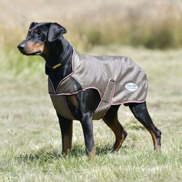 WeatherBeeta Hundemantel ComFiTec Windbreaker Free – Bild 1 von 9
