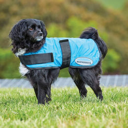 WeatherBeeta Hundemantel Therapy-Tec Cooling – Bild 1 von 2