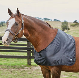 Produktbild von Weatherbeeta Satin Schulterschutz - black