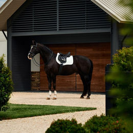 Produktbild von Weatherbeeta Suede Elite Air-Tec All Purpose Saddle Pad