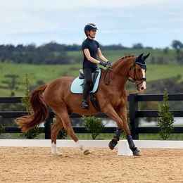 Produktbild von Weatherbeeta Suede Elite Air-Tec Dressage Saddle Pad