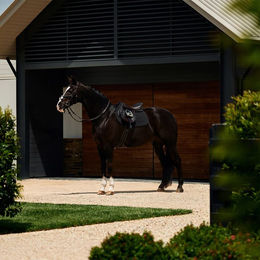 Produktbild von Weatherbeeta Suede Elite Air-Tec Jump Shaped Saddle Pad