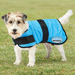 Produktbild von Weatherbeeta Therapy Tec Cooling Dog Jacket 35cm Blau