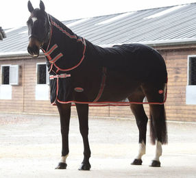 Produktbild von Weatherbeeta Therapy-Tec Wick Dri Abschwitzdecke Combo