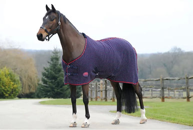 Produktbild von Weatherbeeta Waffelkühler Standard Neck Navy/Rot/Weiß - 140 Stk.