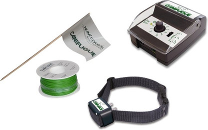 Produktbild von Weglaufsicherer Zaun für Hunde Num'axes Canifugue