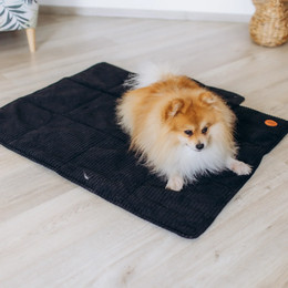 Produktbild von Weiche Liegedecke für Katzen und Hunde „Maxi“ - L