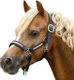 Produktbild von Weiches Lederhalfter für Pferde Bridlery