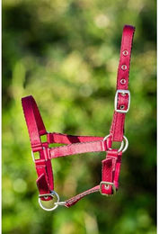 Produktbild von Weiches Nylonhalfter für Pferde HFI