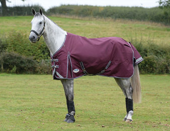 Produktbild von Weidedecke WB ComFiTec Plus Dynamic II mit Halsteil, 100g