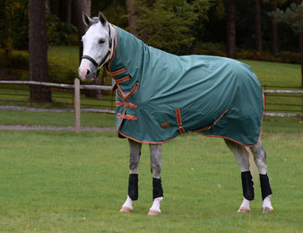 Produktbild von Weidedecke WB Comfitec Tyro 0gr 600D