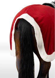 Produktbild von Weihnachtliches Deckenreiten Horze