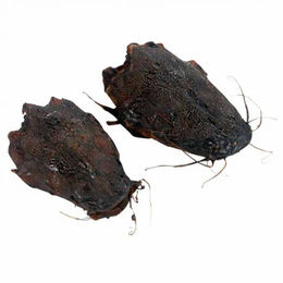 Produktbild von Welskopf - 1