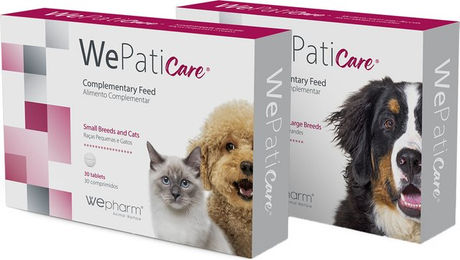 Wepharm WePaticare - Mittlerer Hund und Großer Hund - 30 Tabletten – Bild 1 von 5