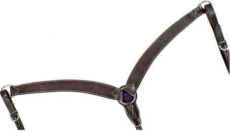 Produktbild von Western Halsband Pool's