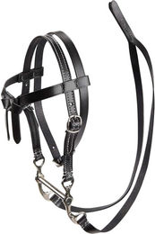 Produktbild von Western-Zäume für Plüschtiere LeMieux Toy Pony