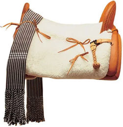 Produktbild von Westernsattel für Pferde Ludomar