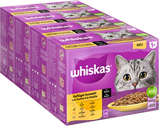 Produktbild von Whiskas Multipack 1+ Geflügel Auswahl in Sauce - 48 x 85 g